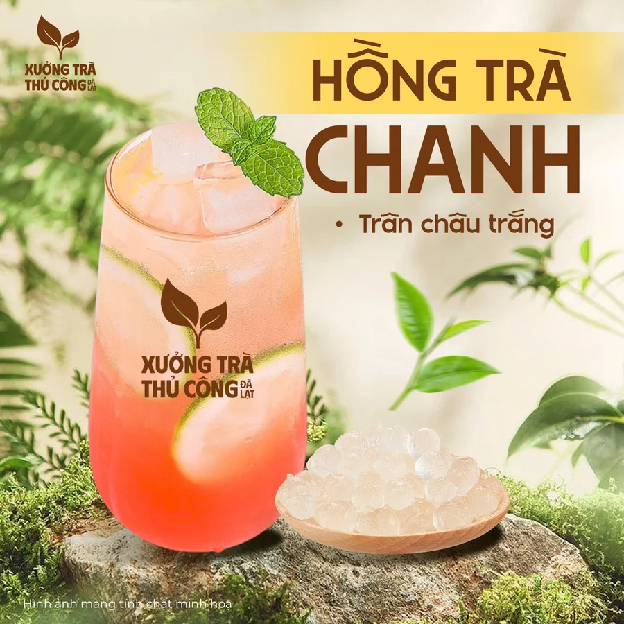 HỒNG TRÀ CHANH TRÂN CHÂU TRẮNG