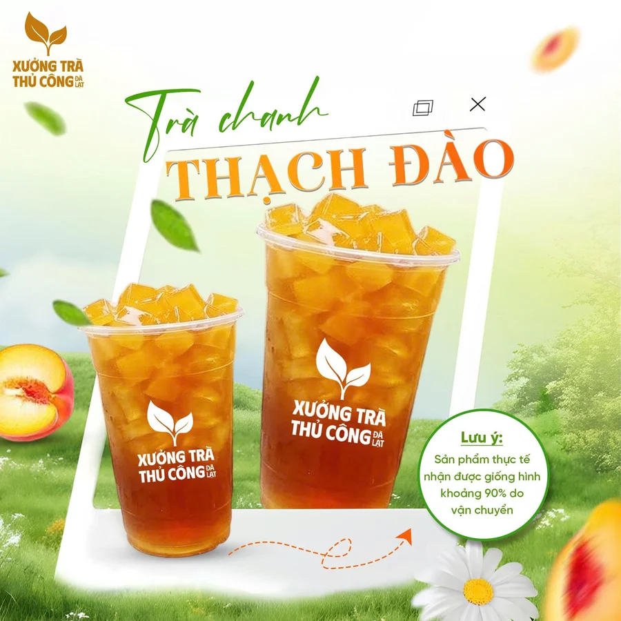 TRÀ CHANH THẠCH ĐÀO